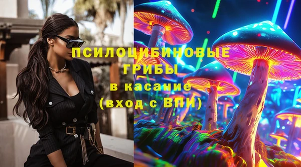 амф Богородицк