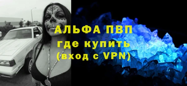 индика Белоозёрский