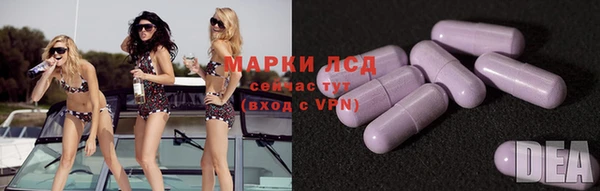 индика Белоозёрский