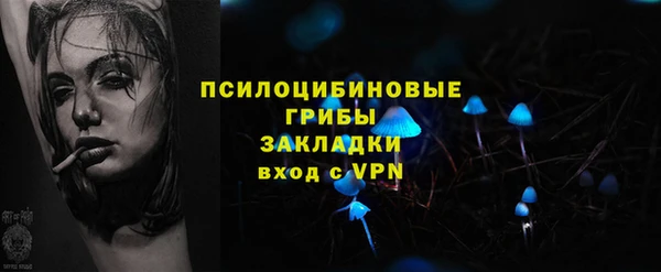 индика Белоозёрский