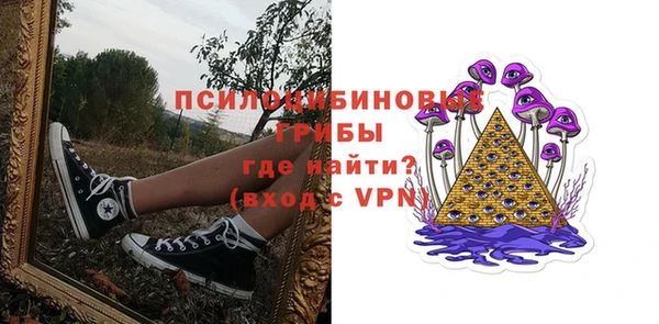 дживик Богданович