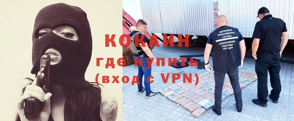 бошки Белокуриха