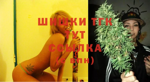 индика Белоозёрский