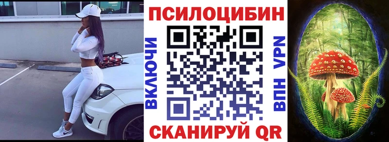 Псилоцибиновые грибы Psilocybine cubensis  закладка  Буинск 